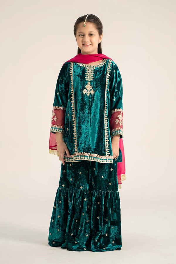 3 Piece Embroidered Velvet Suit | MKS-W24-16