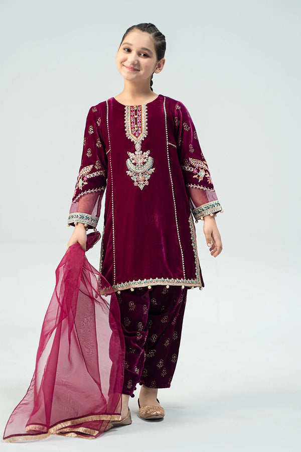 3 Piece Embroidered Velvet Suit | MKS-W24-32