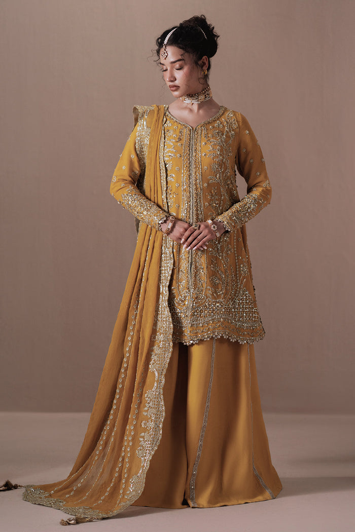 Dhanak