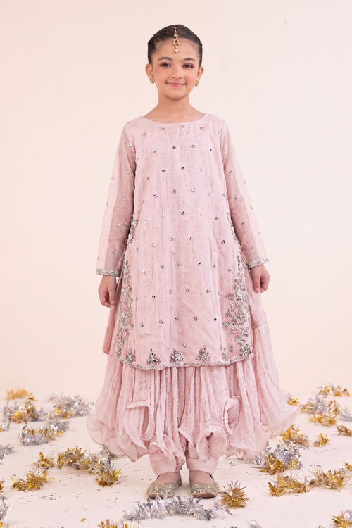 2 Piece Embroidered Organza Suit