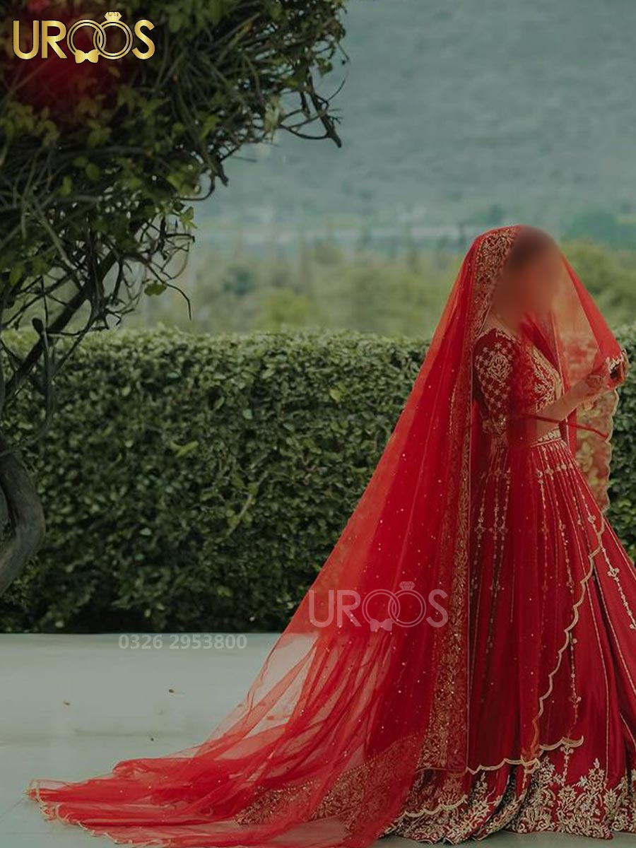 Nagma e Rouge Cutwork Elegance Veil