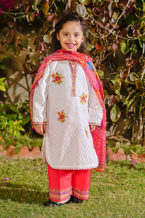Chikankari Embroidered 3 Pc Suit