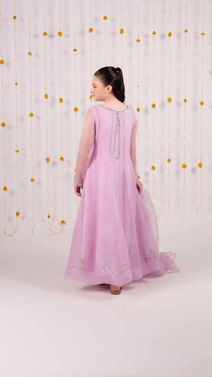 Organza Festive Suit