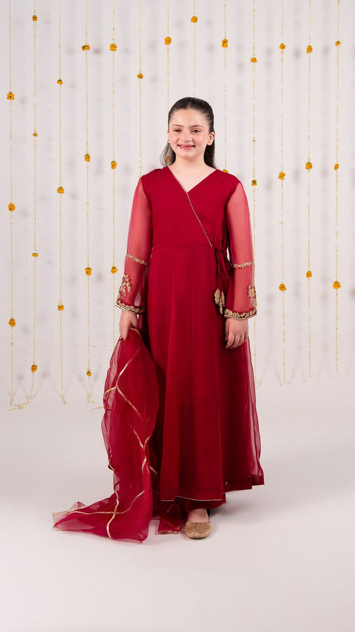Organza Festive Suit
