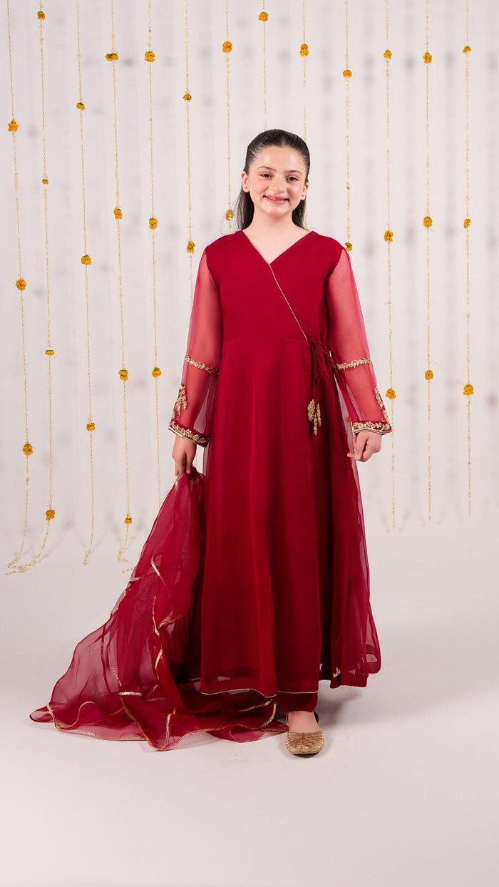 Organza Festive Suit