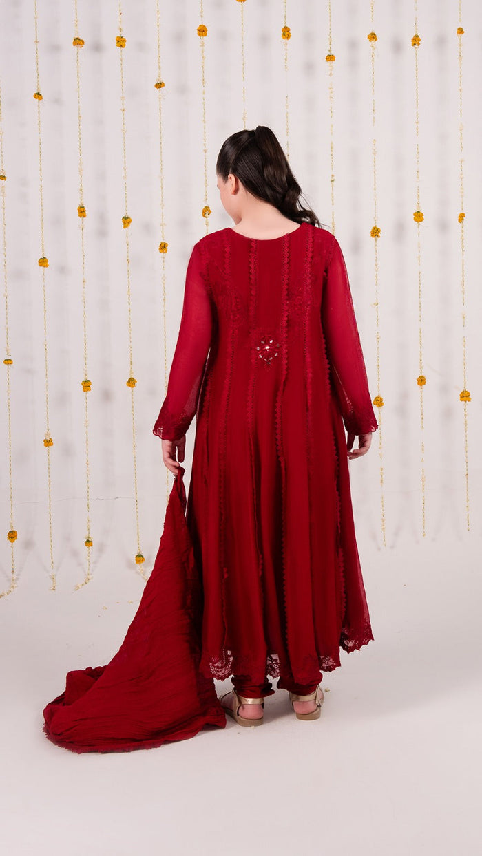 Cotton Net Festive Suit