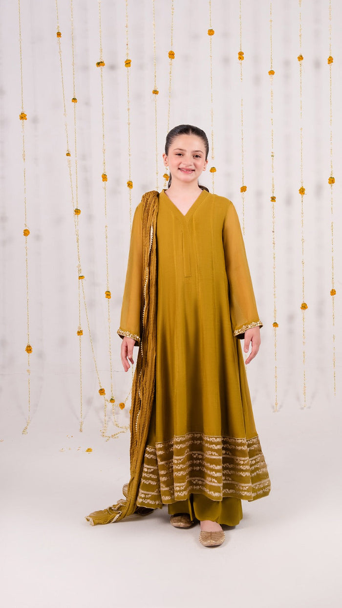 Cotton Net Festive Suit