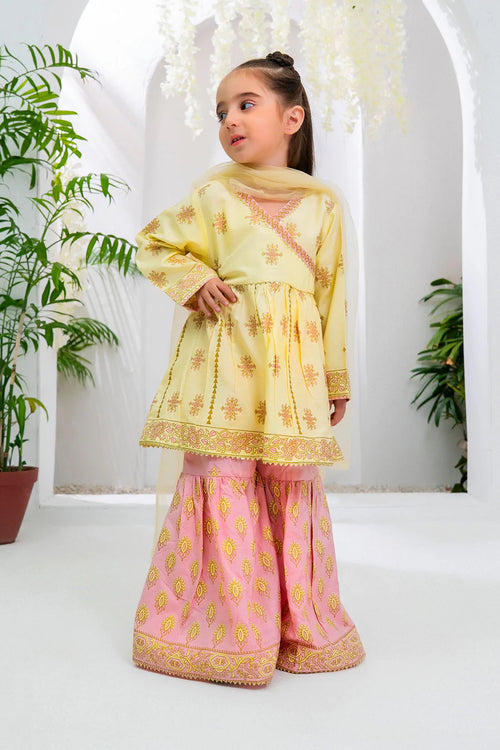 Cotton Silk Printed 3 Pc Suit