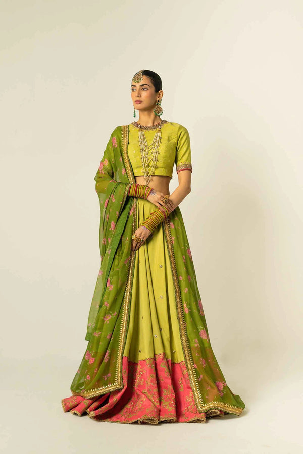 Dress in Royal Choli and Lehenga Style