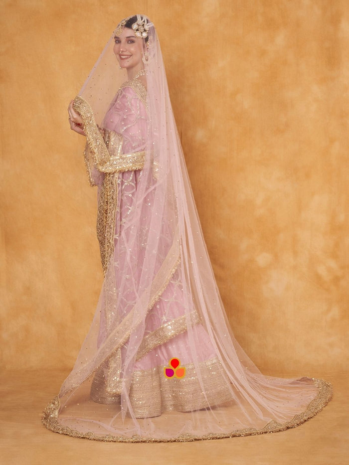 Bridal Veil Pink Magic Embroidered Fringed Net Veil