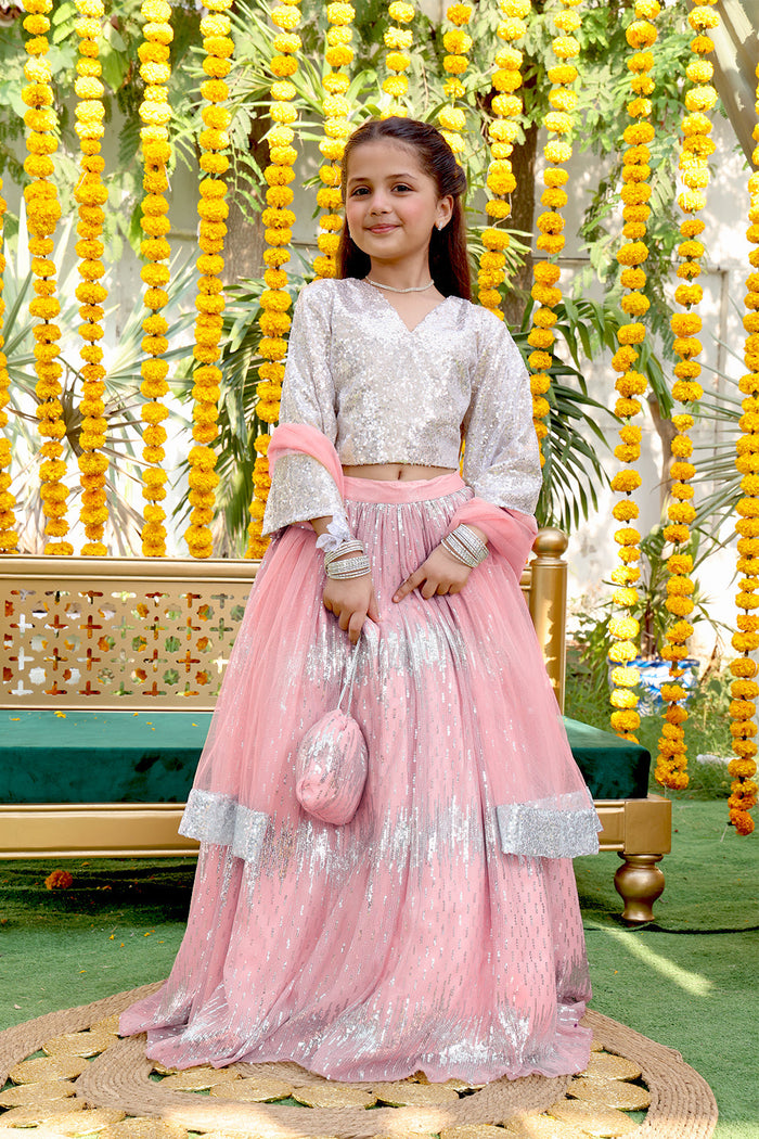 Self Sequins & Net Lehenga Choli