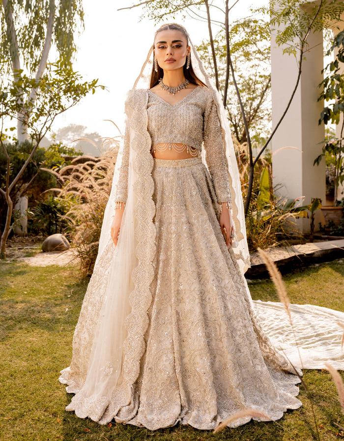 Falak | SAMSARA WORLD