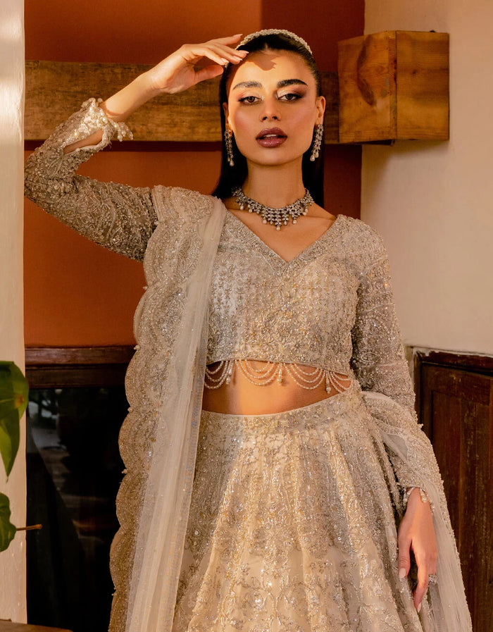 Falak | SAMSARA WORLD