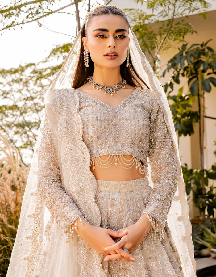 Falak | SAMSARA WORLD