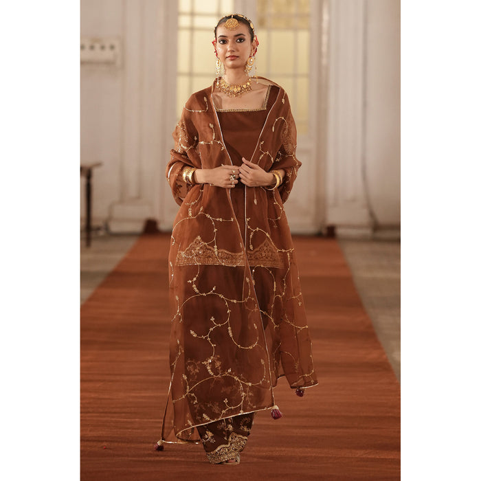 Brown Outfit