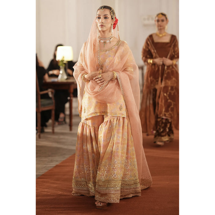 MultiPrinted Organza Gharara Outfit