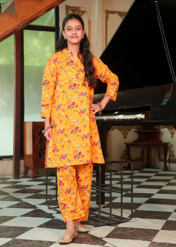 Sireena - 2pc khaddar - Superstar Apparels