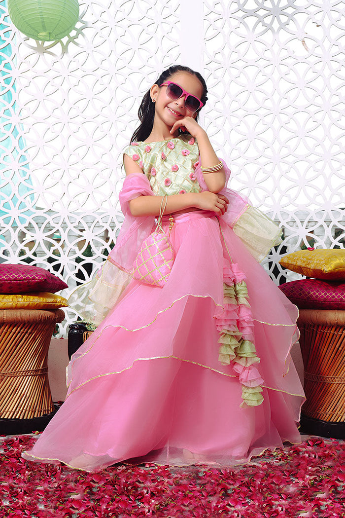 Gott Work Embroidered Lehenga Choli