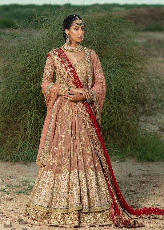 Pakistani Bridal Gown Lehenga Peach Dupatta/veil