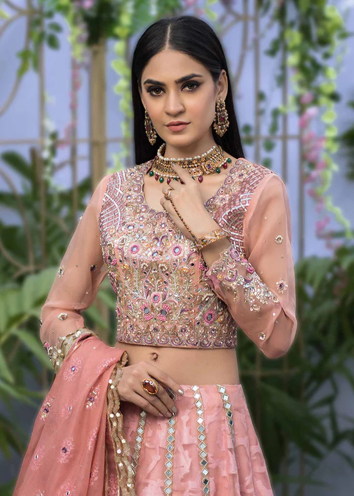 PALE PINK LENGA AND CHOLI