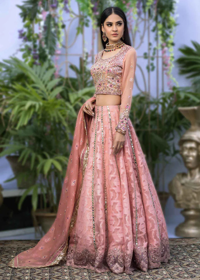 PALE PINK LENGA AND CHOLI