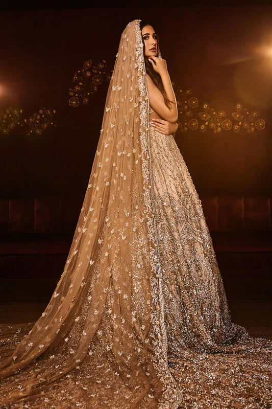 Pakistani Gown Long Tail in Golden Dress