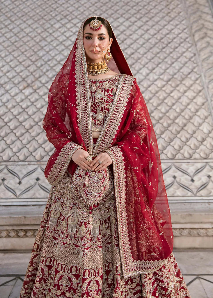Embellished Red Lehenga Choli Pakistani Wedding Dresses UY