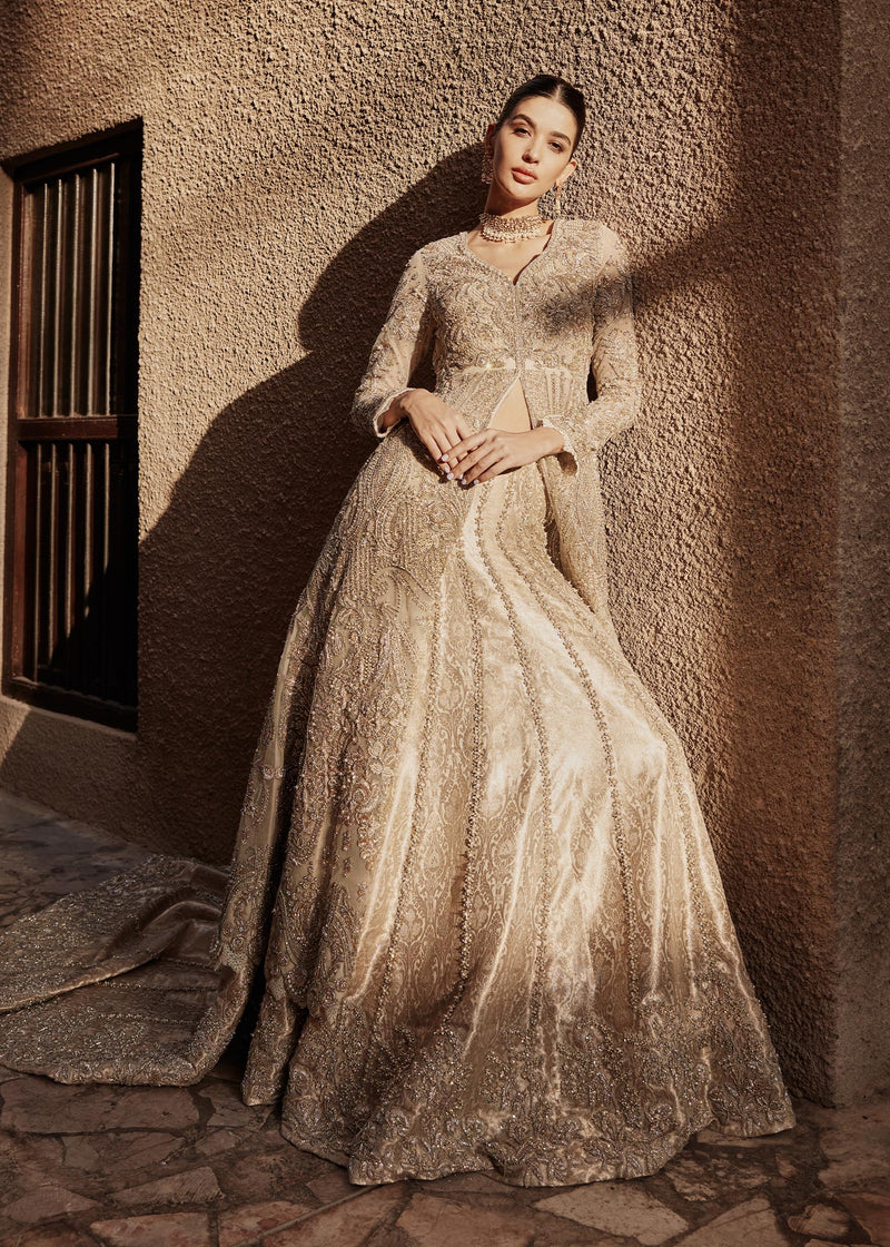 Golden Skin Lehenga Gown – UY Collection - Main Image