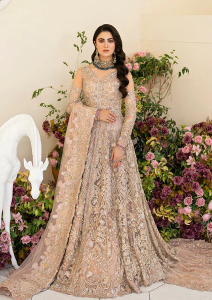 Pakistani long maxi dresses for weddings Clearance
